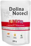 Dolina Noteci Premium Junior Rich In Beef Hearts 5 x 300 g