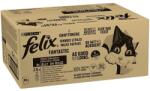 FELIX Fantastic Multipack - csirke, marhahús, tonhal és tőkehallal zselében 80 x 85 g