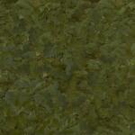 SERA Flora Flakes 10 L / 2 kg