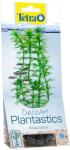 TETRA Egeria densa (Anacharis) növény - Tetra 30 cm, L (18384)