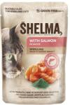 Shelma Cat lazac-spirulina mártásban 14 x 85 g