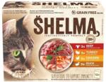 Shelma Cat 4 féle hús mártásban 48 x 85 g
