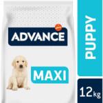 ADVANCE Dog Maxi Puppy Protect 2 x 12 kg