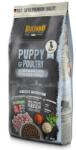 BELCANDO Puppy GF Poultry 2 x 12, 5 kg