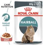 Royal Canin Hairball Care Gravy szószos tasak macskáknak 24 x 85 g