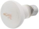 Repti Planet Daylight Frosted izzó 50W (007-41022)