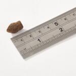 Fish4Dogs Support+ Puppy Salmon Mini Morsels 150 g