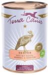 Terra Canis Senior Turkey with papaya, broccoli & herbs 6 x 400 g