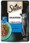 Sheba Delikatesse Tengeri tonhalas tasak zselében 12 x 85 g