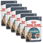 Royal Canin Hairball Care Gravy szószos tasak macskáknak 36 x 85 g