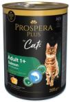 Prospera Plus Adult 1+ Salmon 12 x 395 g