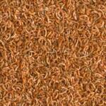 TETRA ReptoDelica Gammarus 1 L / 100 g