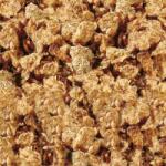 SERA Tubifex FD Snack 250 ml / 28 g