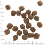 Wolfsblut Cold River 2 kg