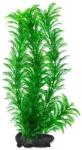 TETRA Cabomba caroliniana ( Green Cabomba) - akváriumi növény 30 cm, L (18398)