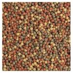 Tropical Pond Pellet Mix 1L
