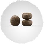 Josera Light & Vital Adult 2 x 12, 5 kg