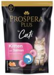 Prospera Plus Kitten Salmon & Carrot 6 x 85 g