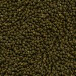 SERA KOI COLOR MEDIUM Nature 1000 ml - eleség halaknak