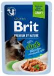 Brit Premium Cat Delicate Fillets in Gravy with Duck for Sterilised 12 x 85 g