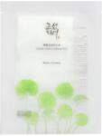 Beauty of Joseon Centella Asiatica Mască de foaie calmantă și hidratantă Masca de fata