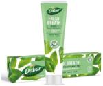 Dabur Pastă de dinți pe bază de plante Busuioc - 100 ml