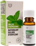 Naturalne Aromaty Ulei esențial de mentă - 10 ml
