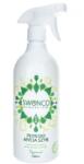 Swonco Lichid pentru curățarea sticlei, Mentă - 750 ml
