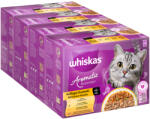 Whiskas 96x85g Whiskas 1+ Aromatic Selection szárnyas vegyes csomag nedves macskatáp