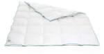 Green Future Nanofiber Paplan - 220x200 cm