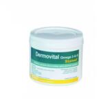Stangest DERMOVITAL, STANGEST, 300 capsule