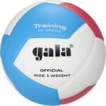 GALA Bv5545 Training (6017853)