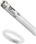 Sylvania Tub Fluorescent Insecte T5 F6W (EL0024842)