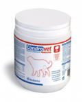 Bioibérica Condrovet Force HA Large Breeds, 80cpr