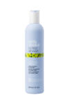 Milk Shake Sampon disciplinant pentru parul cret si electrizat Milk Shake No Frizz Allowed Perfecting Shampoo, 300 ml