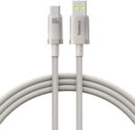 Baseus Cablu USB, Type-C, 100W, 1m - Titanium (P10378102G21-00) - Silver (P10378102G21-00) - vexio