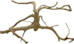 INVITAL Red Moor Wood L 40-50cm (ID Z07831)