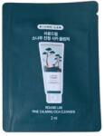 ROUND LAB Pine Calming Cica Cleanser (sample) - Arctisztító Hab Fenyővel A Problémás Bőrre 2ml (sample)