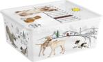 KIS Fedeles doboz KIS C Style Pets M, 18 lit. , 34x40x17 cm