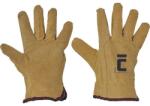CERVA Kesztyű PIGEON 10/XL, bőr, sertésbőr, férfi