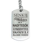 R.M. ékszer Senki sem tökéletes de a nagytesók acél medálos kulcstartó (13446-RM-D)