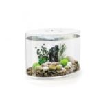 OASE Acvariu biOrb LOOP 30 LED alb