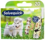 Salvequick sebtapasz Animal Planet (20x)