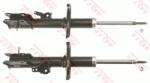 TRW amortizor TRW TWIN JGM1307T (JGM1307T)