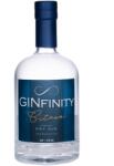  GINfinity Citrus Gin 0, 5L 41% - mindenamibar