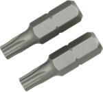 LUX-TOOLS Classic standard bit TX25 2 darab (303206)