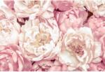 Komar nemszőtt fotótapéta Peonies 368 cm x 248 cm