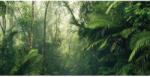 Komar vlies fotótapéta Tropenwelten 500 cm x 250 cm