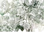 Komar vlies fotótapéta Valerie 350 cm x 250 cm