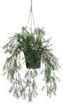 MICA Decorations függő aszparágusz műnövény 40 cm x 20 cm zöld